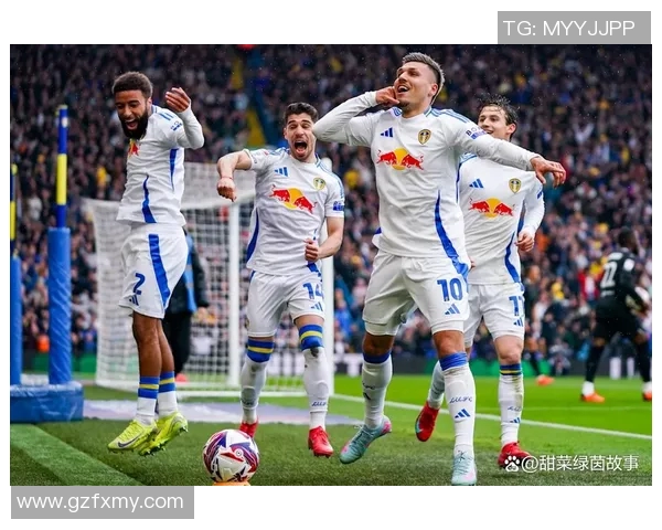 利兹联与埃弗顿对决前瞻分析及比赛结果预测 利兹联与埃弗顿对决前瞻分析及比赛结果预测