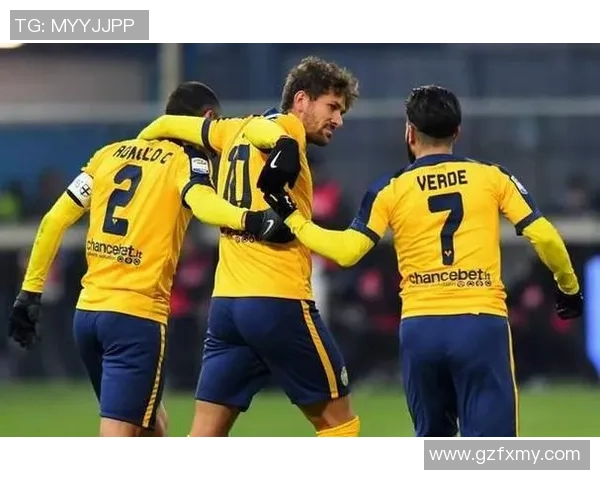 尤恩图斯主场迎战维罗纳期待精彩对决与进球盛宴