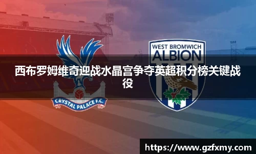 西布罗姆维奇迎战水晶宫争夺英超积分榜关键战役